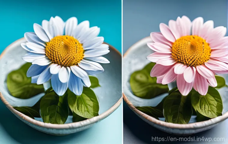 아그로포레스트리 모델과 에너지 자원 - The provided text describes several exciting aspects of sustainable development, focusing on integra...