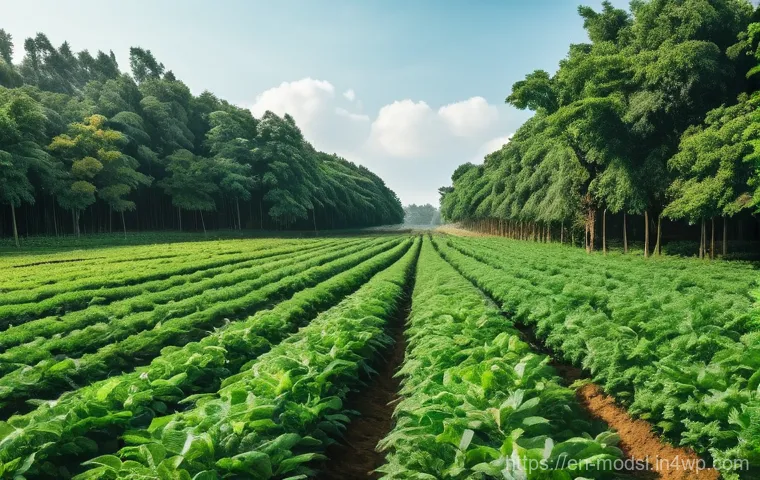 아그로포레스트리 모델과 에너지 자원 - Here are the three detailed image prompts: