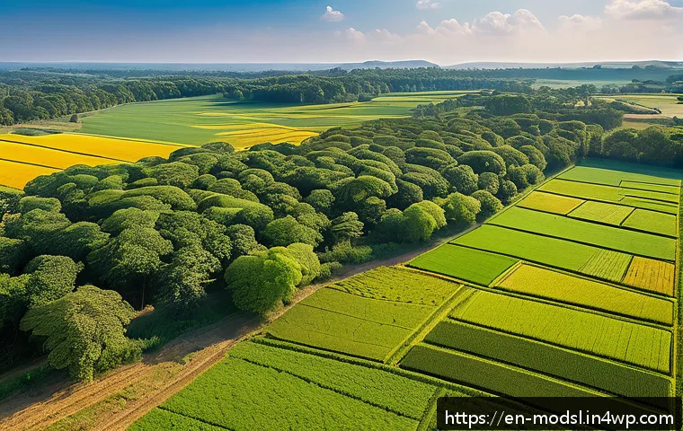 아그로포레스트리 모델의 성과 평가 방법 관련 이미지 2